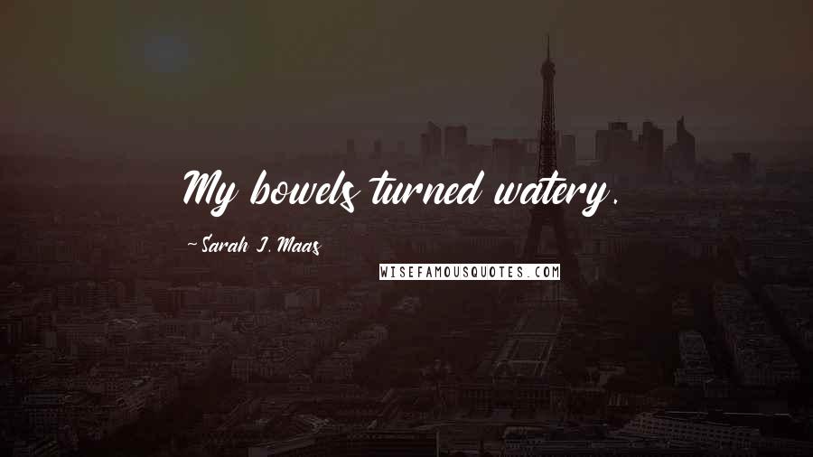 Sarah J. Maas Quotes: My bowels turned watery.