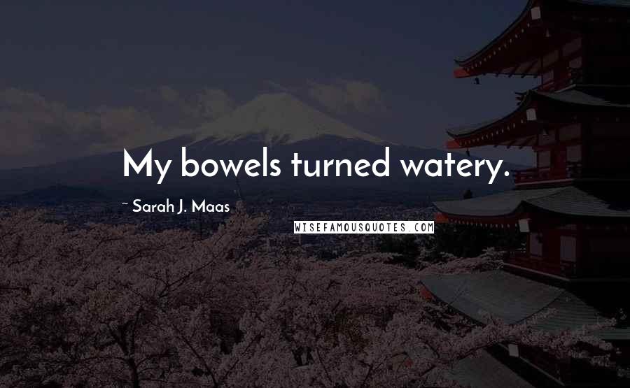 Sarah J. Maas Quotes: My bowels turned watery.