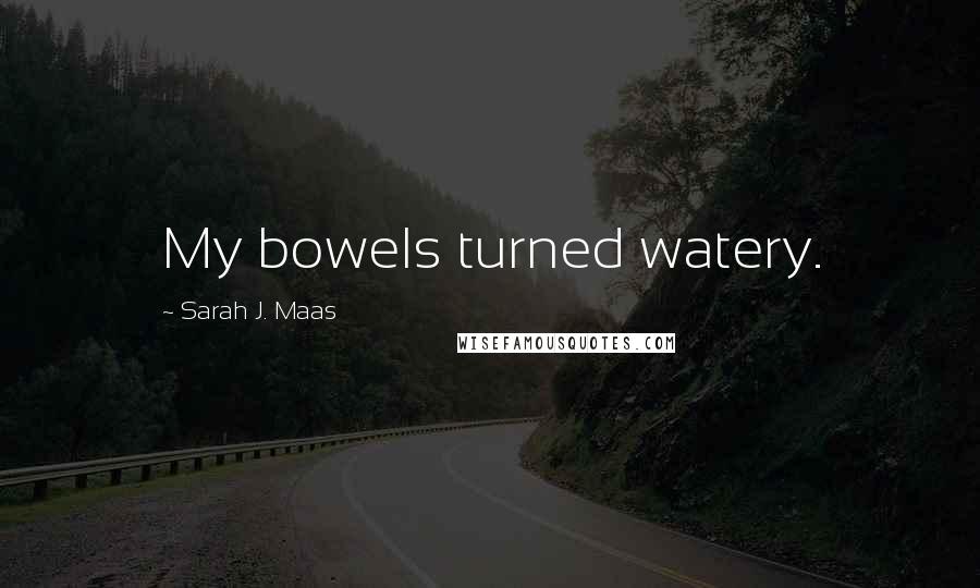 Sarah J. Maas Quotes: My bowels turned watery.