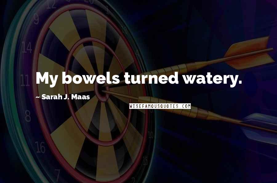 Sarah J. Maas Quotes: My bowels turned watery.