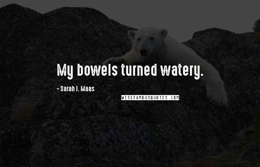 Sarah J. Maas Quotes: My bowels turned watery.