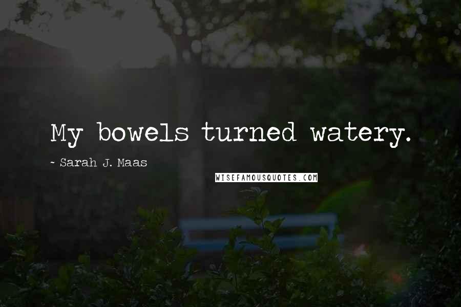 Sarah J. Maas Quotes: My bowels turned watery.