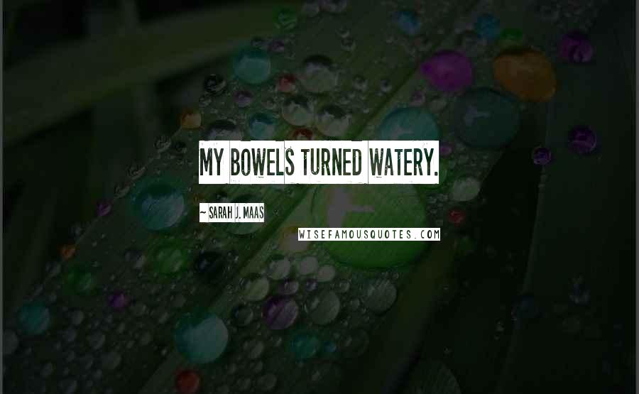 Sarah J. Maas Quotes: My bowels turned watery.