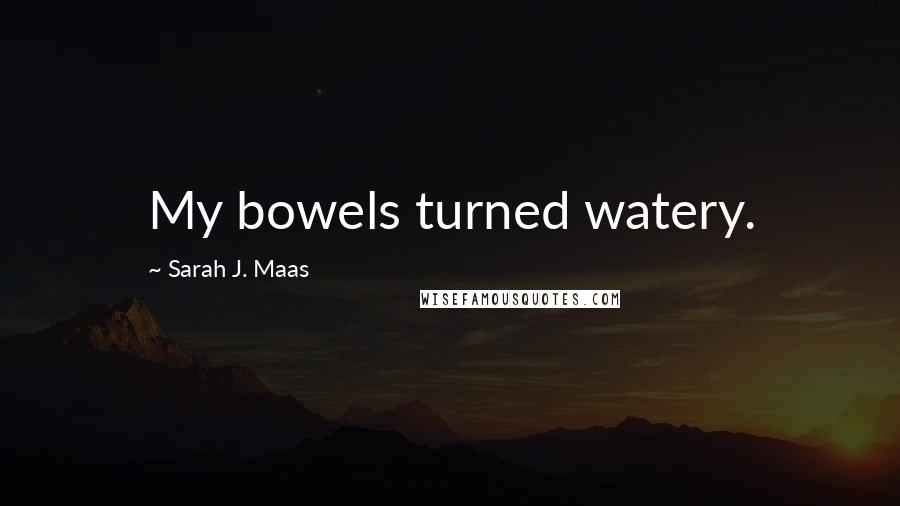 Sarah J. Maas Quotes: My bowels turned watery.