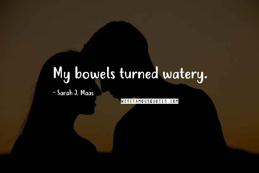 Sarah J. Maas Quotes: My bowels turned watery.