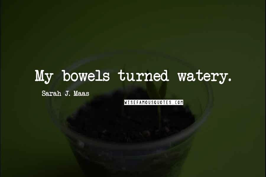 Sarah J. Maas Quotes: My bowels turned watery.