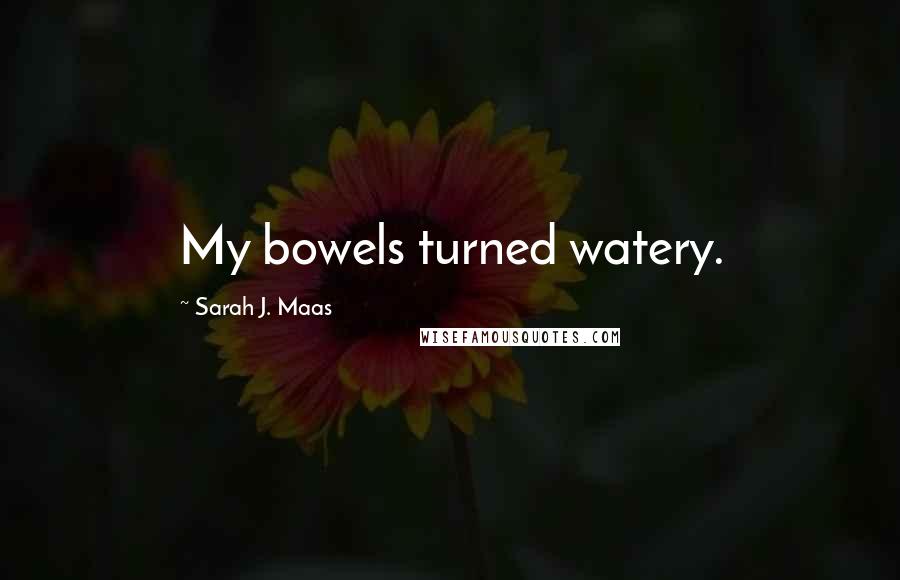 Sarah J. Maas Quotes: My bowels turned watery.
