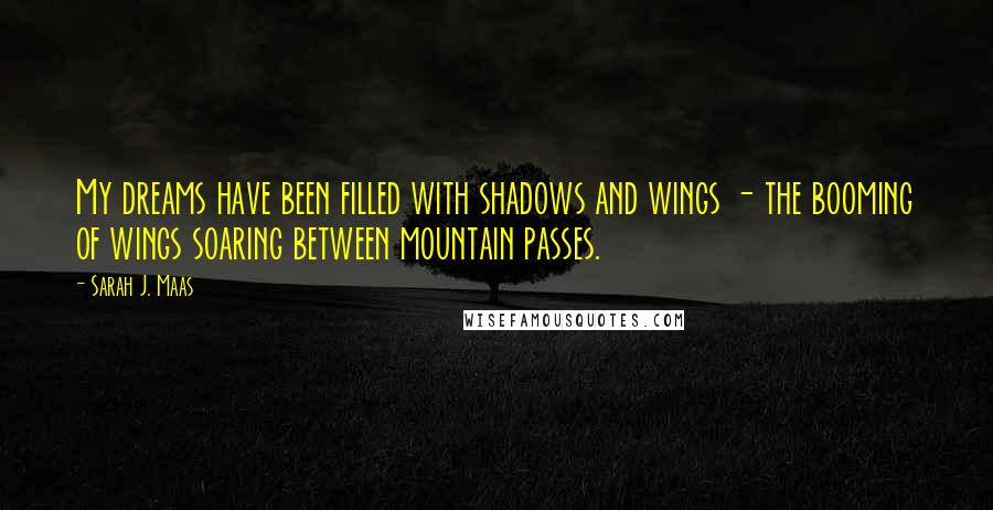 Sarah J. Maas Quotes: My dreams have been filled with shadows and wings - the booming of wings soaring between mountain passes.