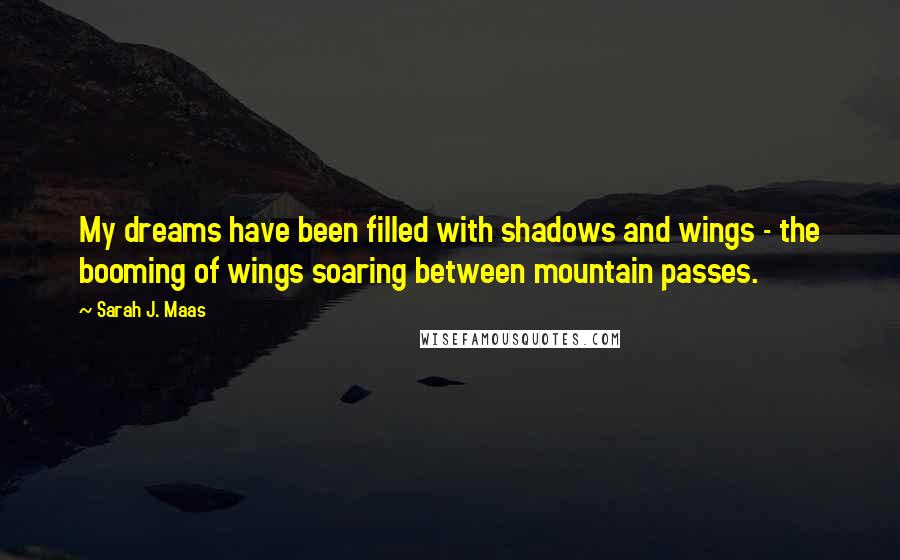 Sarah J. Maas Quotes: My dreams have been filled with shadows and wings - the booming of wings soaring between mountain passes.