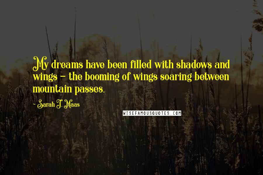 Sarah J. Maas Quotes: My dreams have been filled with shadows and wings - the booming of wings soaring between mountain passes.