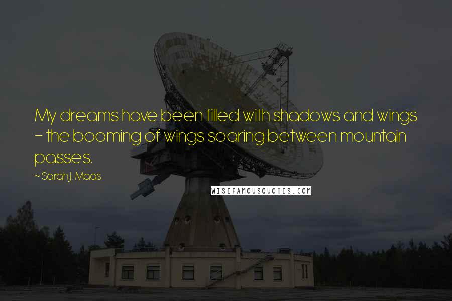 Sarah J. Maas Quotes: My dreams have been filled with shadows and wings - the booming of wings soaring between mountain passes.