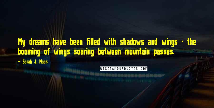 Sarah J. Maas Quotes: My dreams have been filled with shadows and wings - the booming of wings soaring between mountain passes.