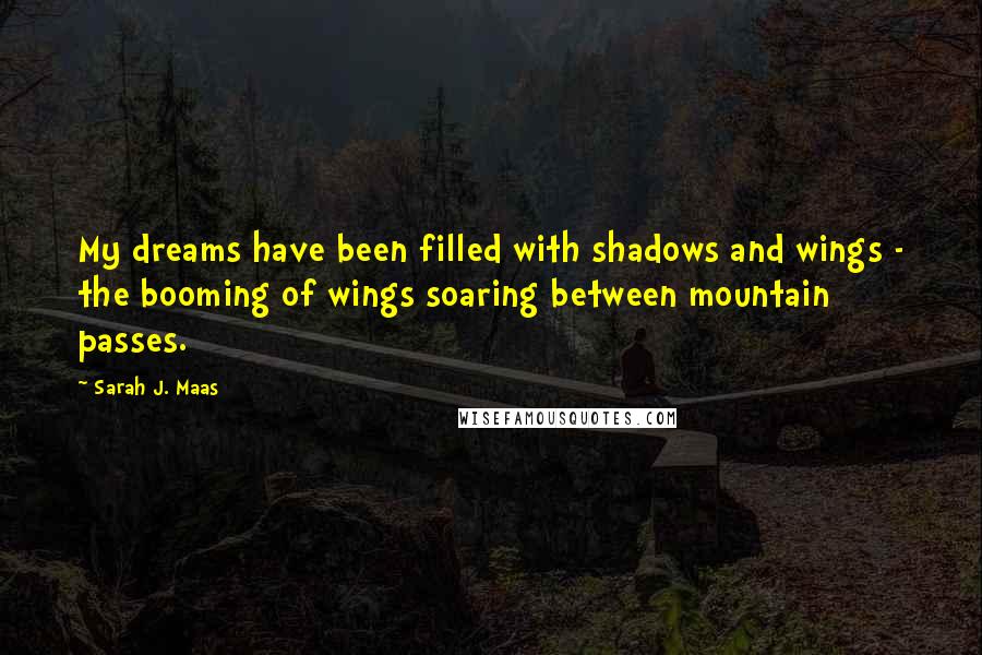 Sarah J. Maas Quotes: My dreams have been filled with shadows and wings - the booming of wings soaring between mountain passes.