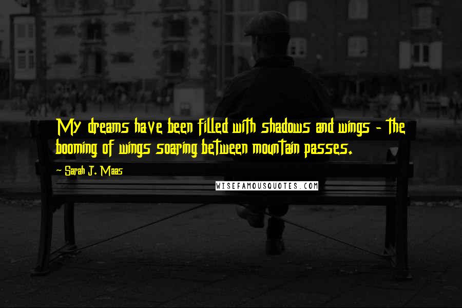Sarah J. Maas Quotes: My dreams have been filled with shadows and wings - the booming of wings soaring between mountain passes.