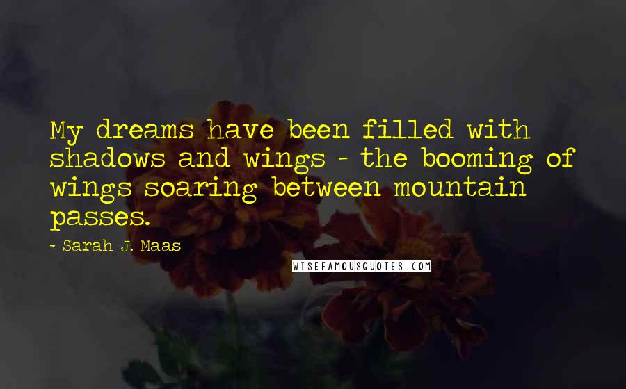 Sarah J. Maas Quotes: My dreams have been filled with shadows and wings - the booming of wings soaring between mountain passes.