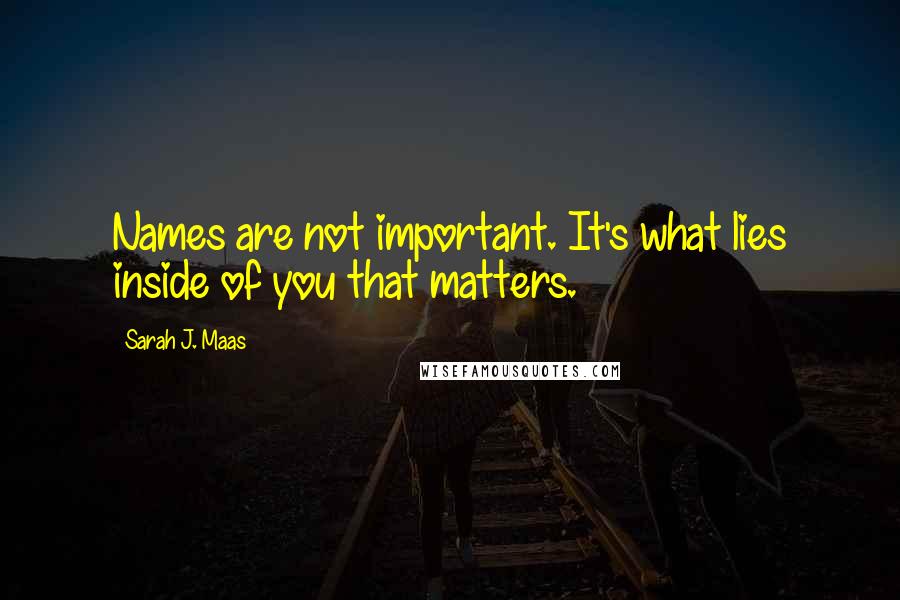 Sarah J. Maas Quotes: Names are not important. It's what lies inside of you that matters.