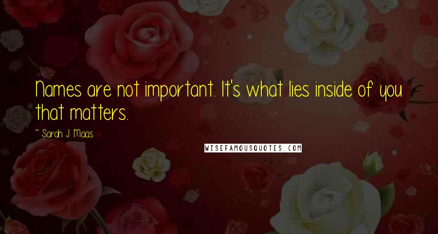 Sarah J. Maas Quotes: Names are not important. It's what lies inside of you that matters.