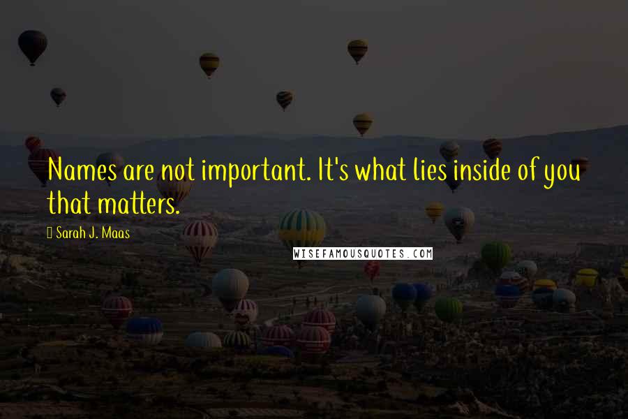 Sarah J. Maas Quotes: Names are not important. It's what lies inside of you that matters.