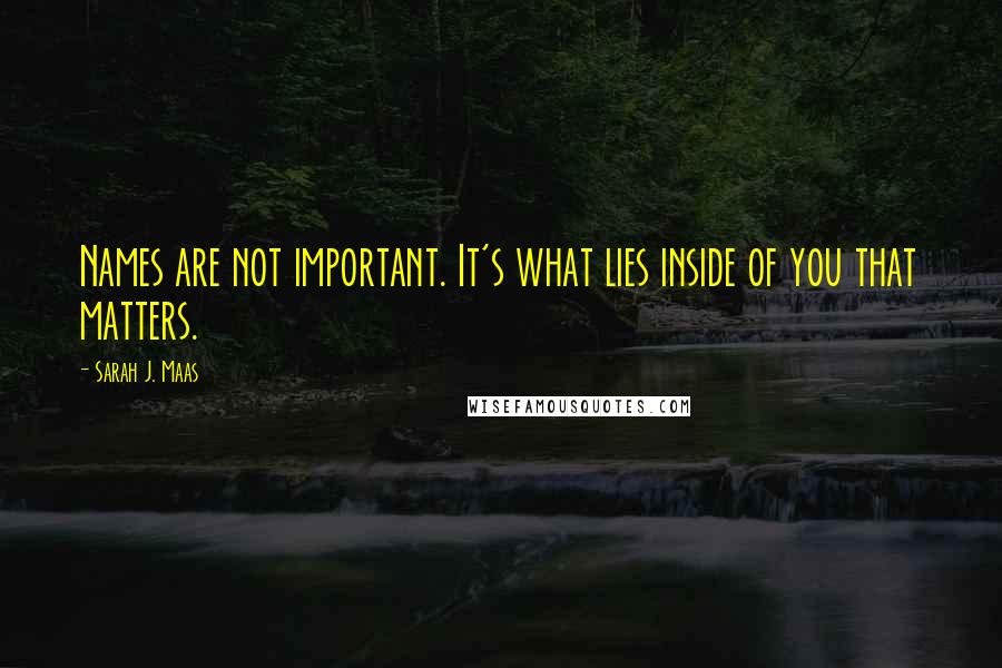 Sarah J. Maas Quotes: Names are not important. It's what lies inside of you that matters.