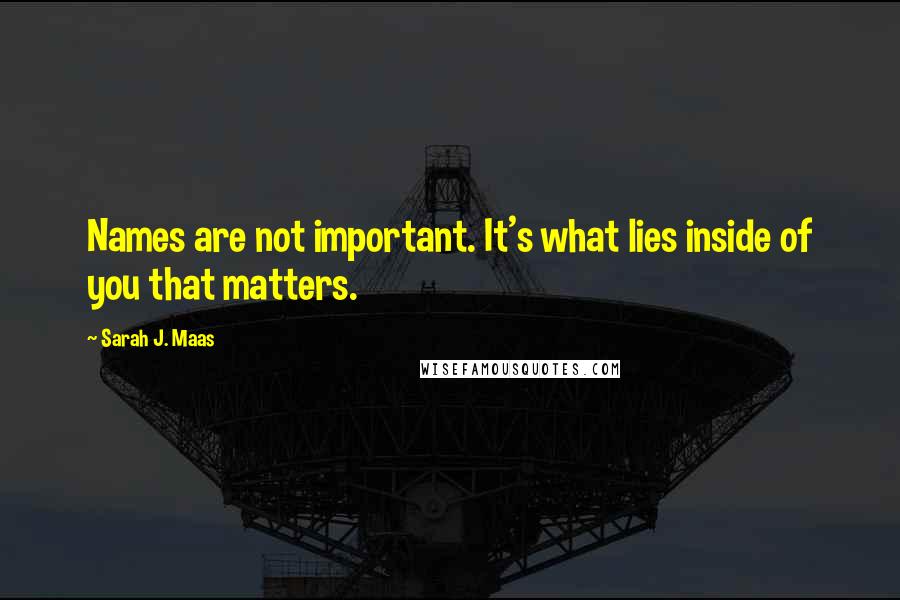 Sarah J. Maas Quotes: Names are not important. It's what lies inside of you that matters.