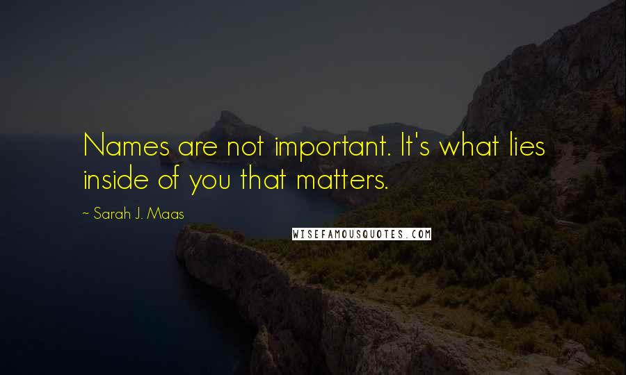 Sarah J. Maas Quotes: Names are not important. It's what lies inside of you that matters.