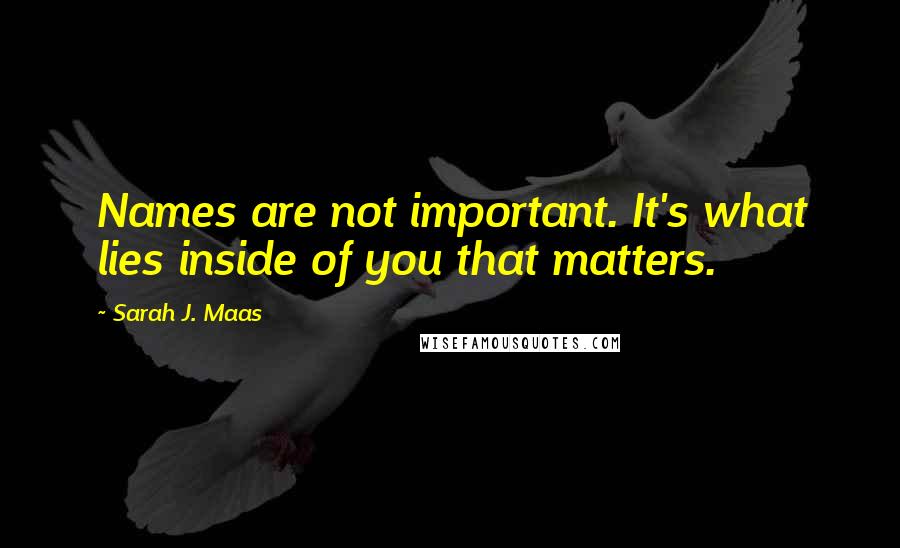 Sarah J. Maas Quotes: Names are not important. It's what lies inside of you that matters.