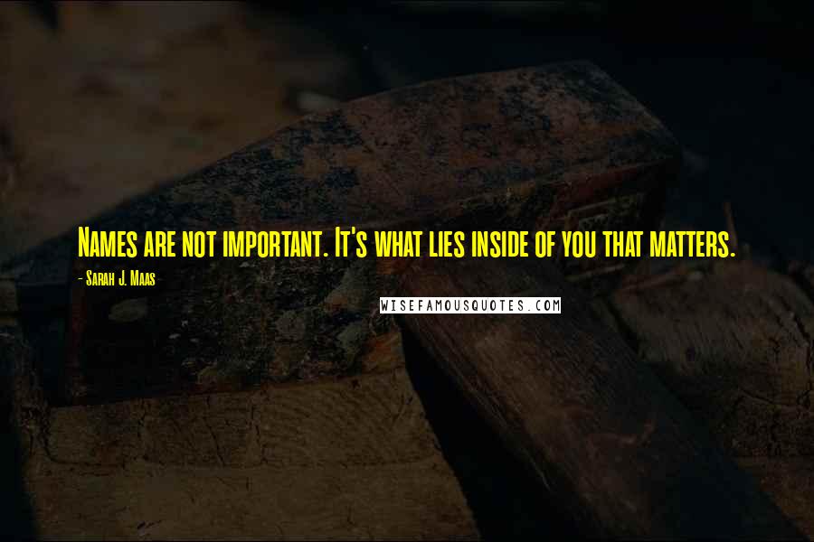 Sarah J. Maas Quotes: Names are not important. It's what lies inside of you that matters.
