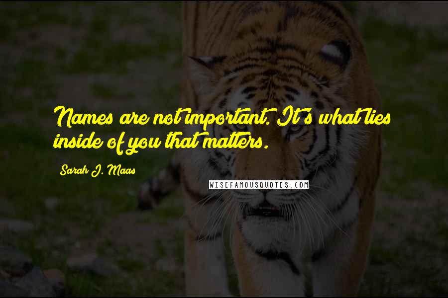 Sarah J. Maas Quotes: Names are not important. It's what lies inside of you that matters.