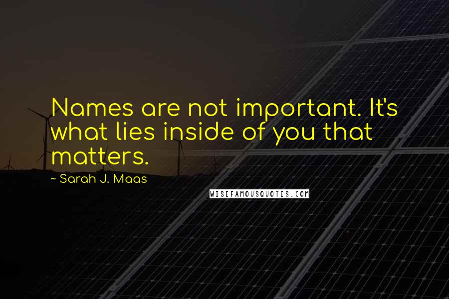 Sarah J. Maas Quotes: Names are not important. It's what lies inside of you that matters.