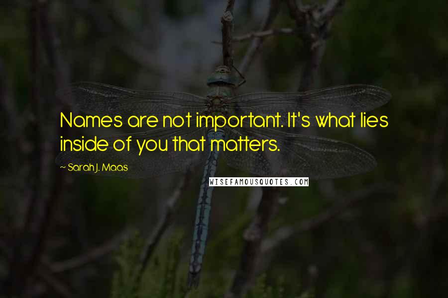 Sarah J. Maas Quotes: Names are not important. It's what lies inside of you that matters.