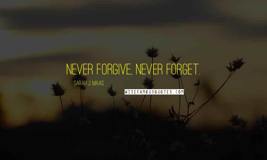 Sarah J. Maas Quotes: Never forgive, never forget.