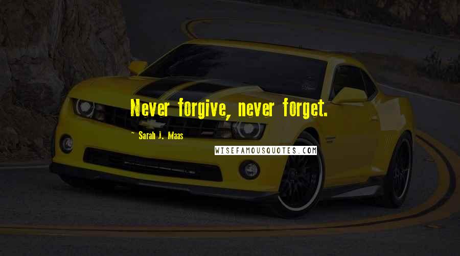 Sarah J. Maas Quotes: Never forgive, never forget.