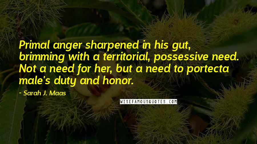 Sarah J. Maas Quotes: Primal anger sharpened in his gut, brimming with a territorial, possessive need. Not a need for her, but a need to portecta male's duty and honor.