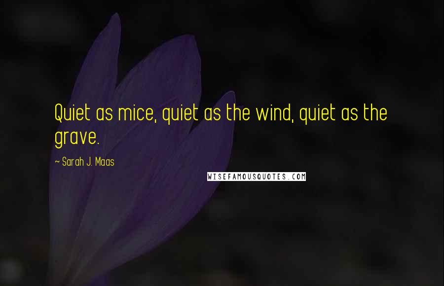 Sarah J. Maas Quotes: Quiet as mice, quiet as the wind, quiet as the grave.