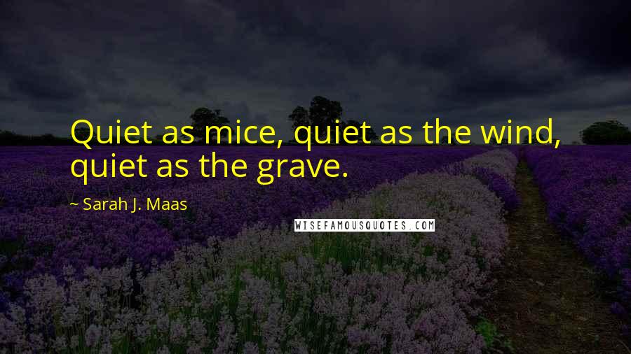 Sarah J. Maas Quotes: Quiet as mice, quiet as the wind, quiet as the grave.