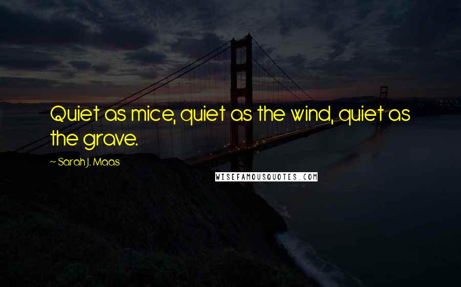 Sarah J. Maas Quotes: Quiet as mice, quiet as the wind, quiet as the grave.