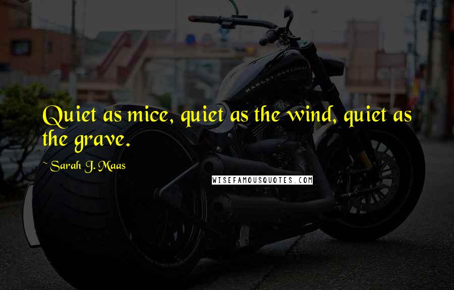 Sarah J. Maas Quotes: Quiet as mice, quiet as the wind, quiet as the grave.