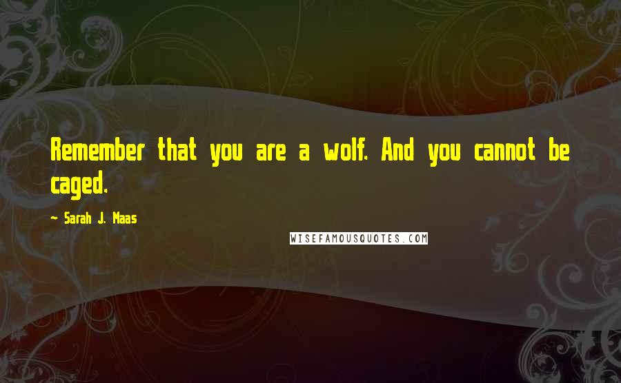 Sarah J. Maas Quotes: Remember that you are a wolf. And you cannot be caged.