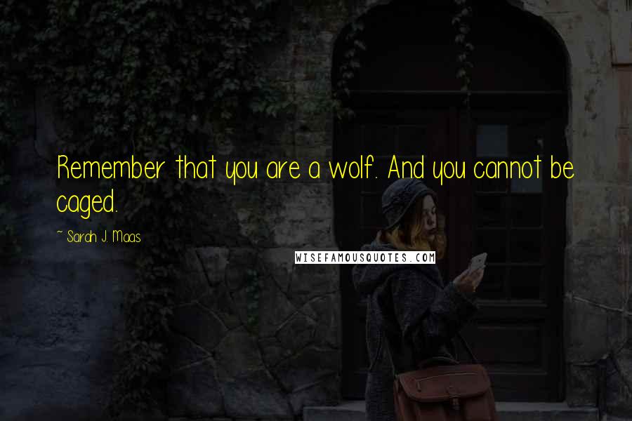 Sarah J. Maas Quotes: Remember that you are a wolf. And you cannot be caged.