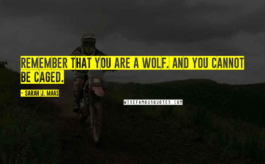 Sarah J. Maas Quotes: Remember that you are a wolf. And you cannot be caged.