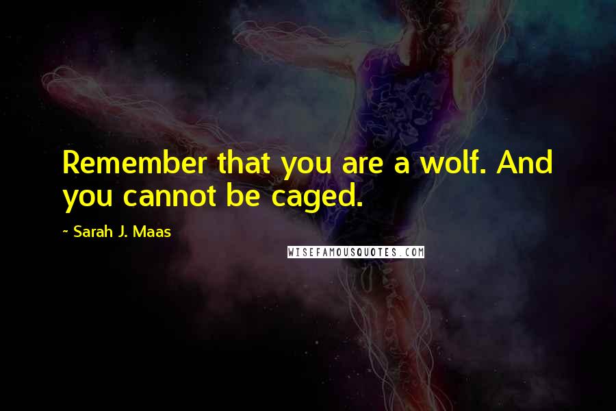 Sarah J. Maas Quotes: Remember that you are a wolf. And you cannot be caged.