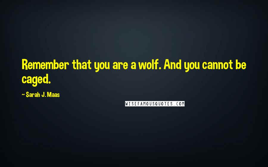 Sarah J. Maas Quotes: Remember that you are a wolf. And you cannot be caged.