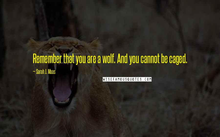 Sarah J. Maas Quotes: Remember that you are a wolf. And you cannot be caged.