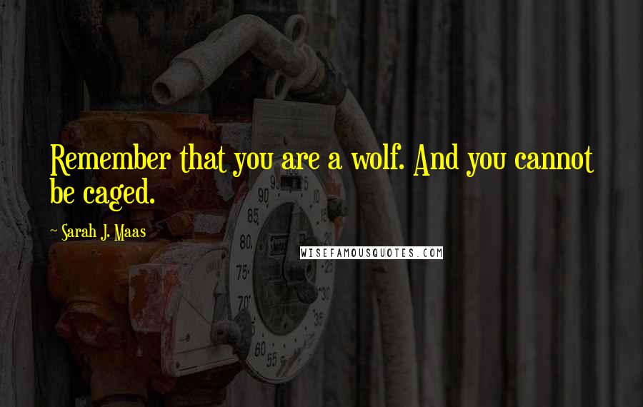 Sarah J. Maas Quotes: Remember that you are a wolf. And you cannot be caged.