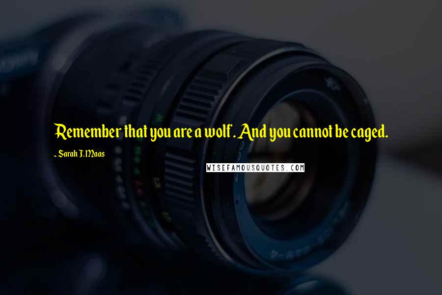 Sarah J. Maas Quotes: Remember that you are a wolf. And you cannot be caged.