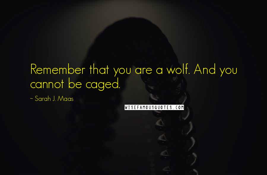 Sarah J. Maas Quotes: Remember that you are a wolf. And you cannot be caged.