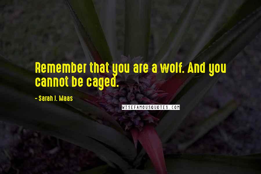 Sarah J. Maas Quotes: Remember that you are a wolf. And you cannot be caged.