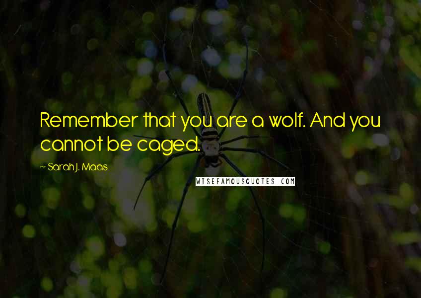 Sarah J. Maas Quotes: Remember that you are a wolf. And you cannot be caged.