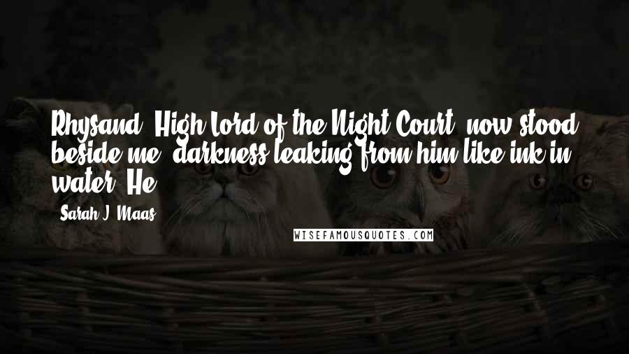 Sarah J. Maas Quotes: Rhysand, High Lord of the Night Court, now stood beside me, darkness leaking from him like ink in water. He