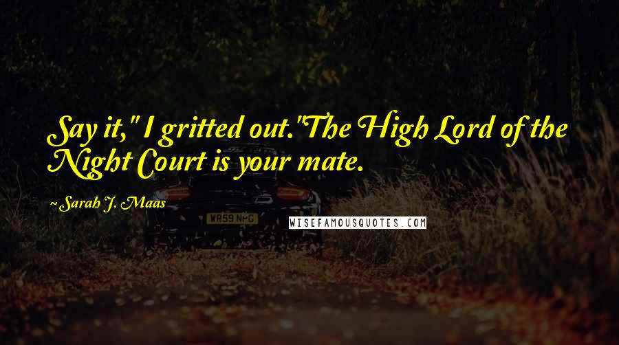 Sarah J. Maas Quotes: Say it," I gritted out."The High Lord of the Night Court is your mate.
